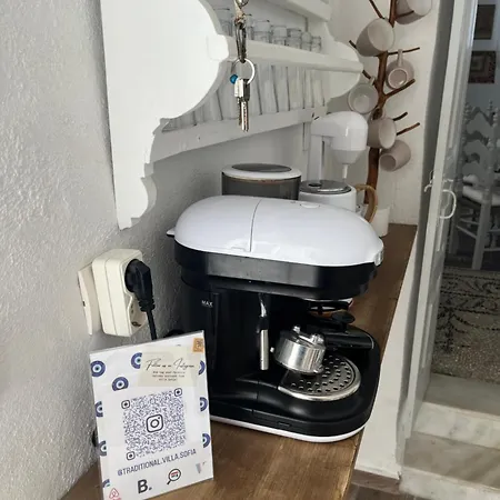 Vila Traditional Sofia *