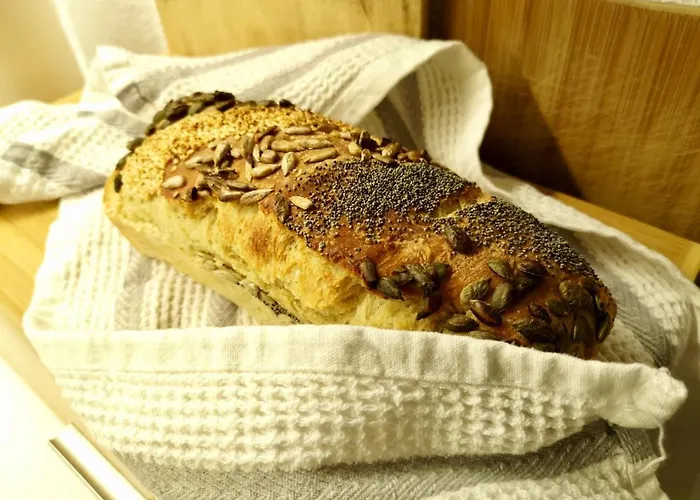 Traditional Sofia Vilă