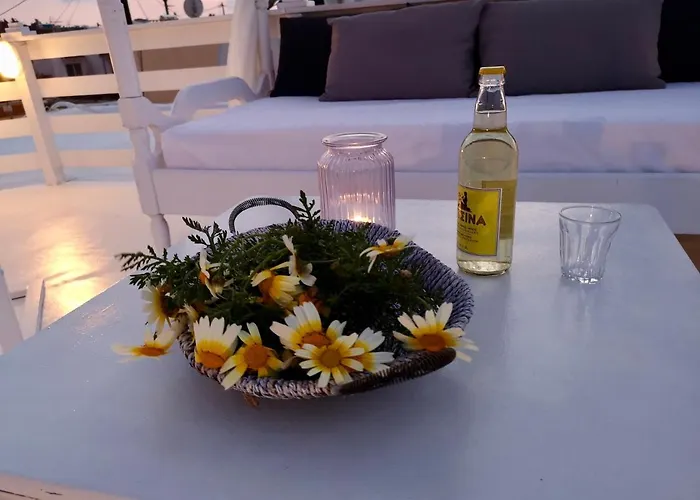 Traditional Sofia Vilă