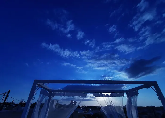 Traditional Sofia Vilă