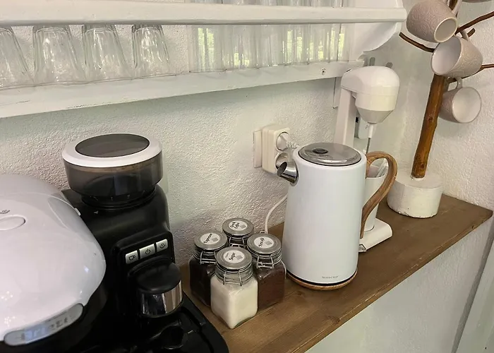 Traditional Sofia Koskinou